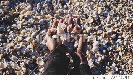 Close-up hands of a girl who collect seashells Close-up hands of a girl who collect seashells 72479291