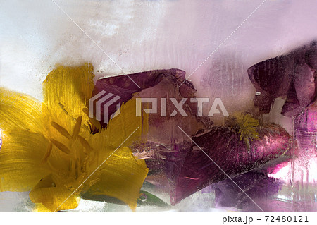 Frozen   flower of  iris 72480121