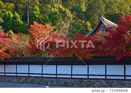 京都の紅葉 南禅寺 京都の紅葉 南禅寺 72480668