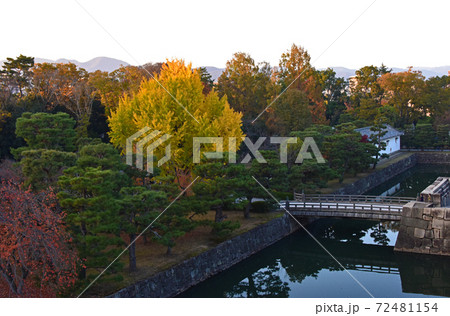 京都の紅葉　二条城 72481154