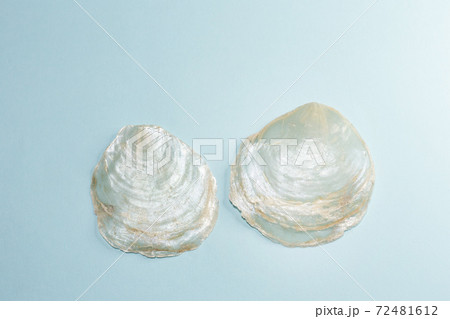 雑貨やインテリア、装飾などに使われる素材カピス貝・カピスシェル 72481612
