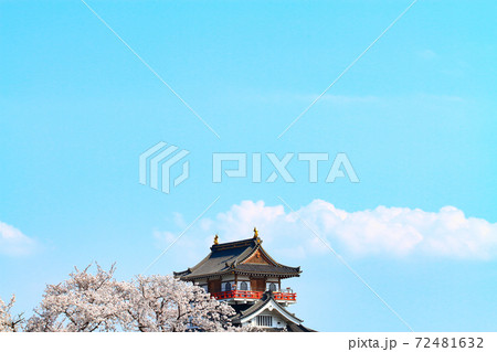 清須市、清洲城と満開の桜の風景 清須市、清洲城と満開の桜の風景 72481632