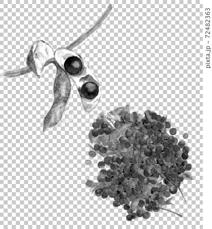 設置黑大豆脫脂前後的蔬菜材料單調[水墨風格水彩插圖] 72482363