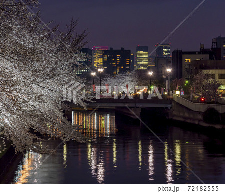 お江戸深川さくらまつり お江戸深川さくらまつり 72482555
