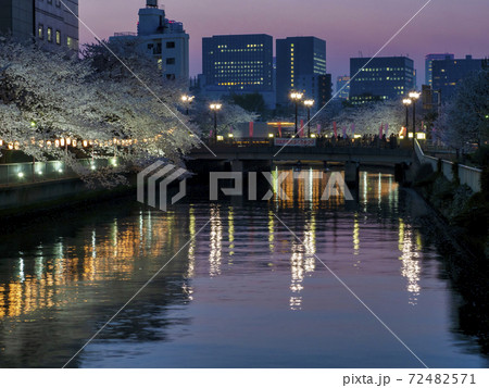お江戸深川さくらまつり 72482571