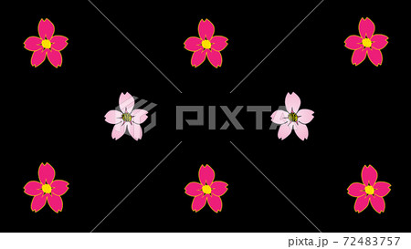 和風桜柄パターン背景イラスト 横 のイラスト素材