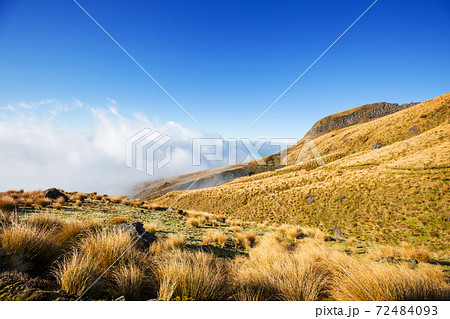 New Zealand hills 72484093