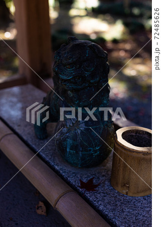 平林寺―手水の獅子 平林寺―手水の獅子 72485626