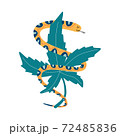 Snake with marijuana. Logo for cannabis company 72485836