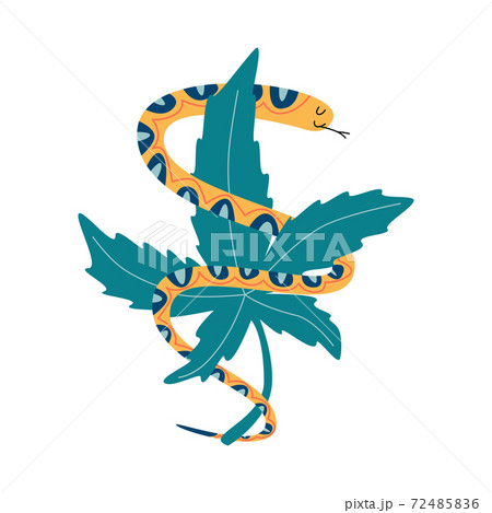 Snake With Marijuana Logo For Cannabis Companyのイラスト素材