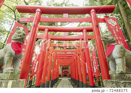 茨城の日光東照宮 72488375