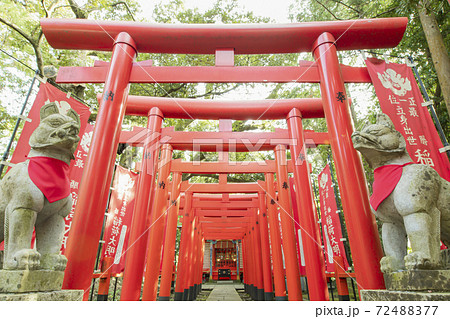 茨城の日光東照宮 茨城の日光東照宮 72488377