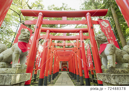 茨城の日光東照宮 72488378