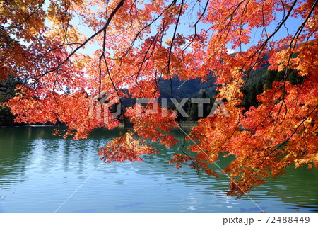 湖畔の秋 72488449