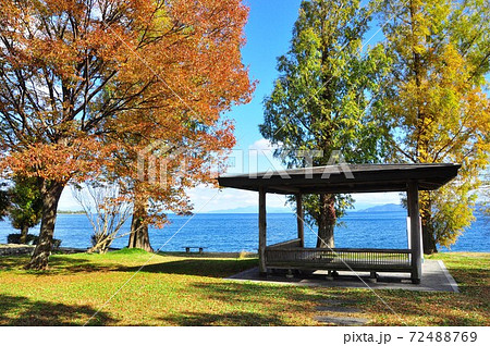 滋賀県大津市 琵琶湖湖岸緑地の紅葉とびわ湖の写真素材