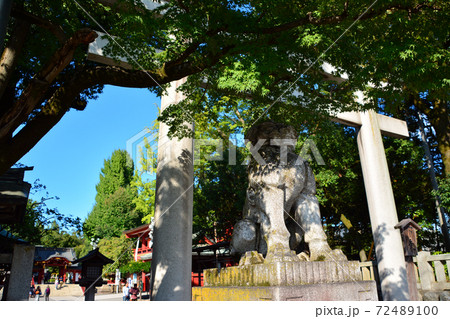 荘厳なる秩父神社 72489100