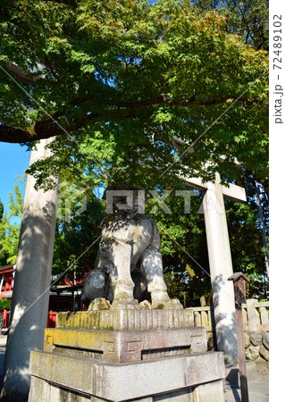 荘厳なる秩父神社 荘厳なる秩父神社 72489102