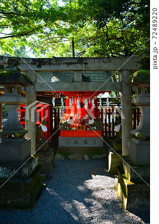 荘厳なる秩父神社 72489220