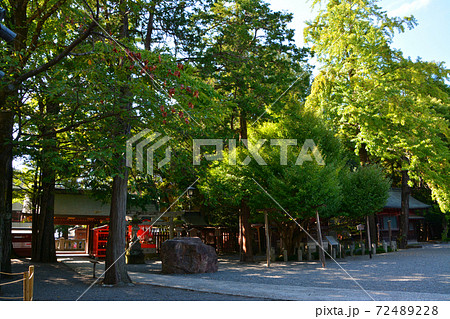 荘厳なる秩父神社 72489228