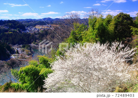 月ヶ瀬梅林(奈良県奈良市)からの景観 月ヶ瀬梅林(奈良県奈良市)からの景観 72489403