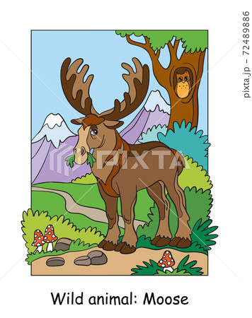 Children colorful moose vector illustration for coloring 72489886