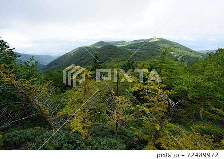 高峰高原の東篭ノ登山中腹から池の平湿原を見る 高峰高原の東篭ノ登山中腹から池の平湿原を見る 72489972