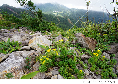 高峰高原の東篭ノ登山頂から水ノ塔山、車坂峠方面を見る 高峰高原の東篭ノ登山頂から水ノ塔山、車坂峠方面を見る 72489974