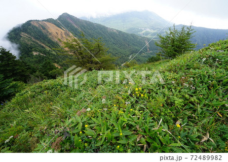 高峰高原の東篭ノ登山頂から水ノ塔山、車坂峠方面を見る 高峰高原の東篭ノ登山頂から水ノ塔山、車坂峠方面を見る 72489982