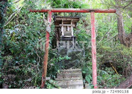 大多喜城 72490138
