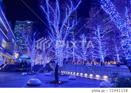 横浜　みなとみらい　グランモール公園のクリスマスイルミネーション 72491158