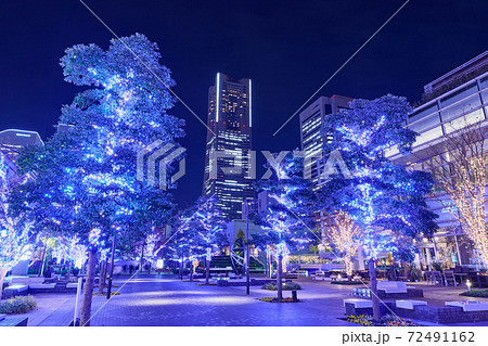 横浜 みなとみらい グランモール公園のクリスマスイルミネーション 横浜 みなとみらい グランモール公園のクリスマスイルミネーション 72491162