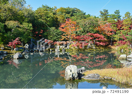 京都 天龍寺 紅葉の曹源池庭園 72491190