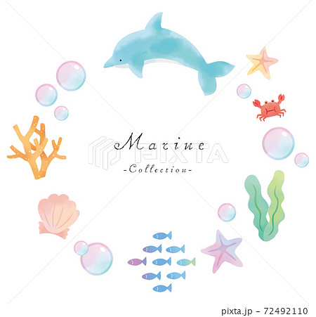 Summer Material Dolphin And Sea Motif Set Stock Illustration