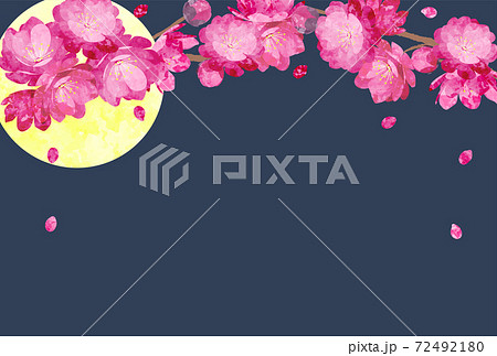 Peach Blossom spring flower hinamatsuri 72492180