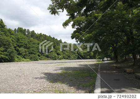 2020年初夏の巾着田にて 72493202