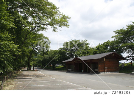 2020年初夏の巾着田にて 72493203