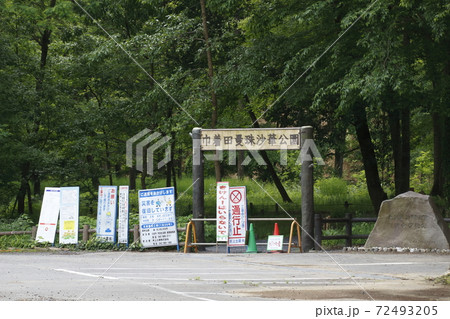 2020年初夏の巾着田にて 72493205