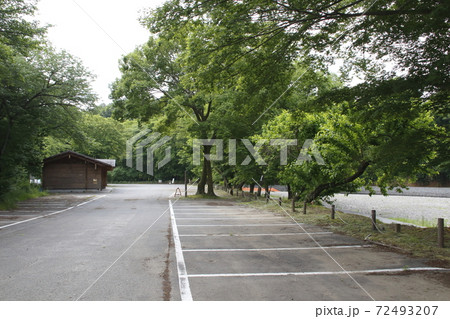 2020年初夏の巾着田にて 72493207