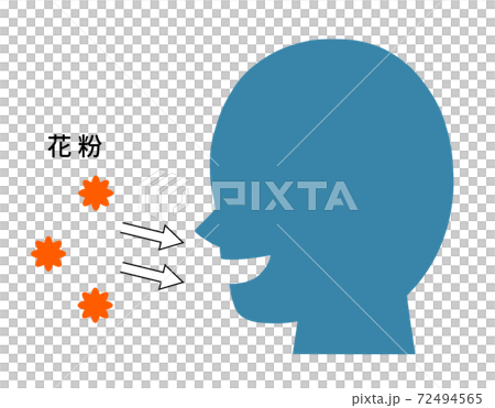 Onset of pollinosis / allergy mechanism 72494565