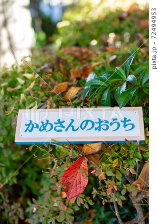 切株アート　札 72494953