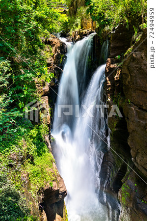 Iguazu Falls in a tropical rainforest in Argentina 72494959
