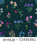 Seamless vector pattern in repeat. 72495861
