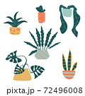 Set of funny vector houseplant in pots  72496008