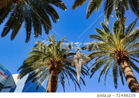 Sunny view of the Town Square shopping mall 72498239