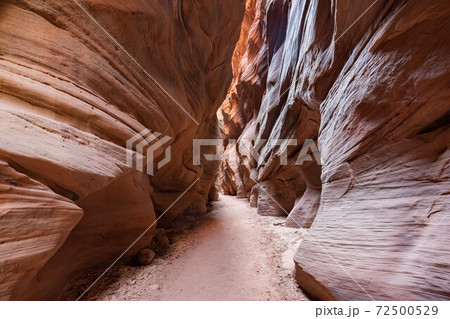 Beautiful landscape around Buckskin Gulch slot canyon 72500529