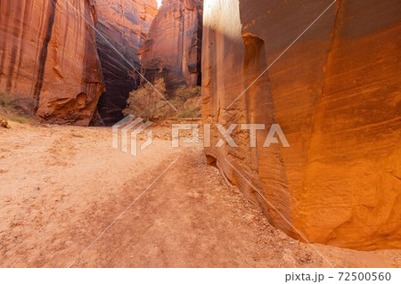 Beautiful landscape around Buckskin Gulch slot canyon 72500560