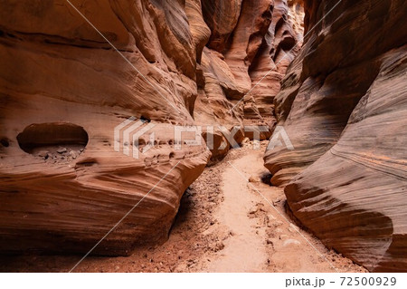 Beautiful landscape around Buckskin Gulch slot canyon 72500929