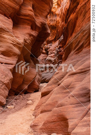 Beautiful landscape around Buckskin Gulch slot canyon 72500932