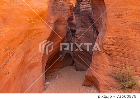 Beautiful landscape around Buckskin Gulch slot canyon 72500979