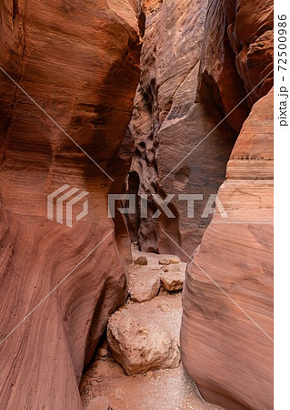 Beautiful landscape around Buckskin Gulch slot canyon 72500986